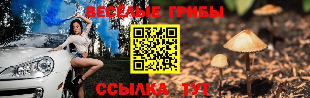 Люберцы  Псилоцибиновые грибы Magic Shrooms  Вход с VPN 